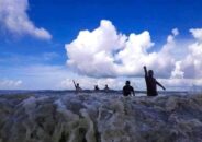 ঘুরে আসুন পর্যটন সম্ভাবনার চরফ্যাশন