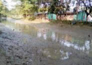 বরিশালের কালিজিরা নদী কেবলই স্মৃতি !