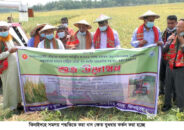 সমলয় প্রকল্পঃ কইয়ের তেলে কই ভাঁজলেন কৃষি অফিসার !