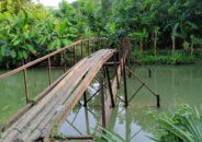 বরগুনায় লোহার সেতুতে সুপারি গাছ দিয়ে চলাচল