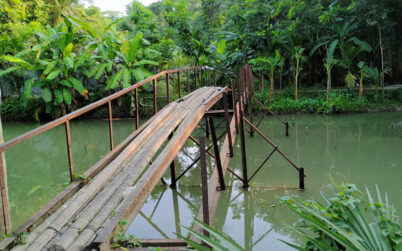 বরগুনায় লোহার সেতুতে সুপারি গাছ দিয়ে চলাচল