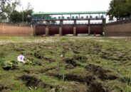 টাংগন ব্যারেজ গলার কাঁটা কৃষকের