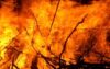 সুন্দরবনে অগ্নিকান্ড