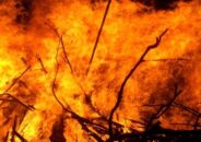 সুন্দরবনে অগ্নিকান্ড