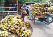 বরিশালের বাজারে এসেছে পানি তাল