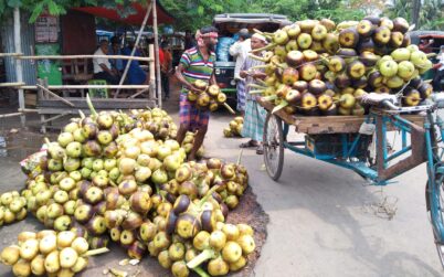 বরিশালের বাজারে এসেছে পানি তাল
