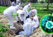 করোনায় দেশে মৃত্যু কমে ৩৭ জন, শনাক্ত ১৬৮২