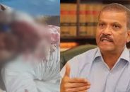 নুরের ওপর হামলার ঘটনায় আসিফ নজরুলের নিন্দা