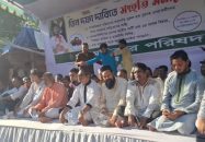 পতিত আওয়ামী লীগ আবার রাজনীতিতে ফেরার স্বপ্ন দেখছেঃ হাবিব-উন নবী খান