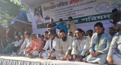 পতিত আওয়ামী লীগ আবার রাজনীতিতে ফেরার স্বপ্ন দেখছেঃ হাবিব-উন নবী খান