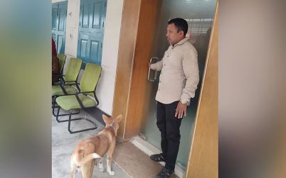 ৮ কুকুরছানাকে হত্যা, অভিযুক্ত কর্মকর্তাকে সরকারি বাসা ছাড়ার নির্দেশ