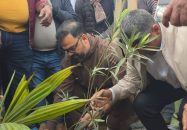 রাজধানীর ৩০০ ফিট এলাকায় বৃক্ষ রোপণ করল বিএনপি