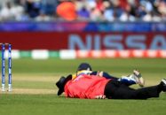 ক্রিকেট ম্যাচ চলাকালীন মৌমাছির কামড়ে প্রাণ হারালেন আম্পায়ার