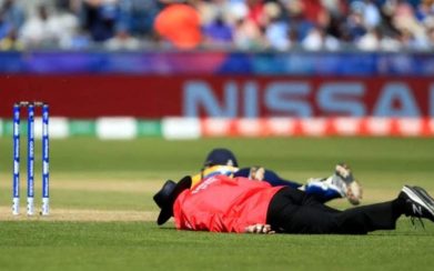 ক্রিকেট ম্যাচ চলাকালীন মৌমাছির কামড়ে প্রাণ হারালেন আম্পায়ার