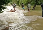 বিপৎসীমার ওপরে তিন নদীর পানি, নতুন এলাকায় বন্যার শঙ্কা