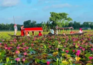 বরিশালে লাল শাপলা দেখতে নেমে কলেজছাত্রের মৃত্যু