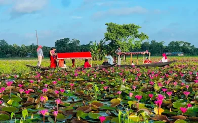বরিশালে লাল শাপলা দেখতে নেমে কলেজছাত্রের মৃত্যু
