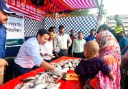অভিযানে জব্দকৃত ৫ হাজার ইলিশ ১২শ অসহায় মানুষকে বিতরণ করলেন ইউএনও রাসেল ইকবাল